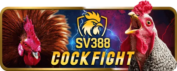 Ưu đãi chào mừng thành viên mới tại 6623 bet