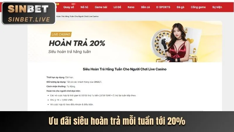 Phân tích các ưu đãi mới nhất của 6623 bet
